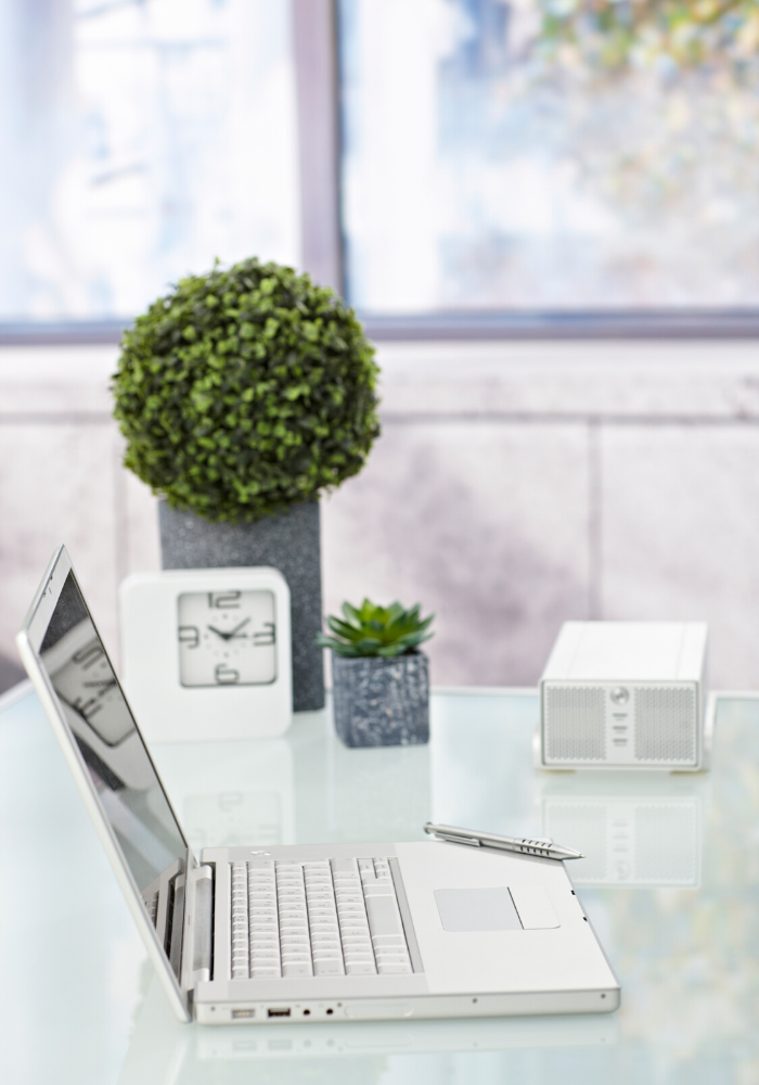 strona skazana na sukces blog portal sklep internetowy wordpress